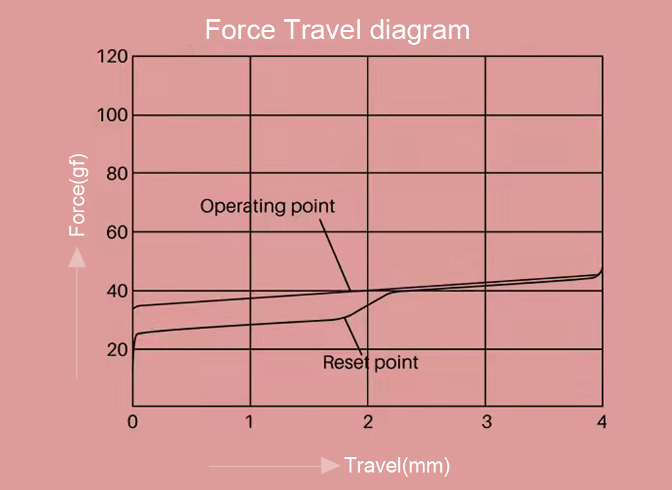 Akko CS Sakura force graph