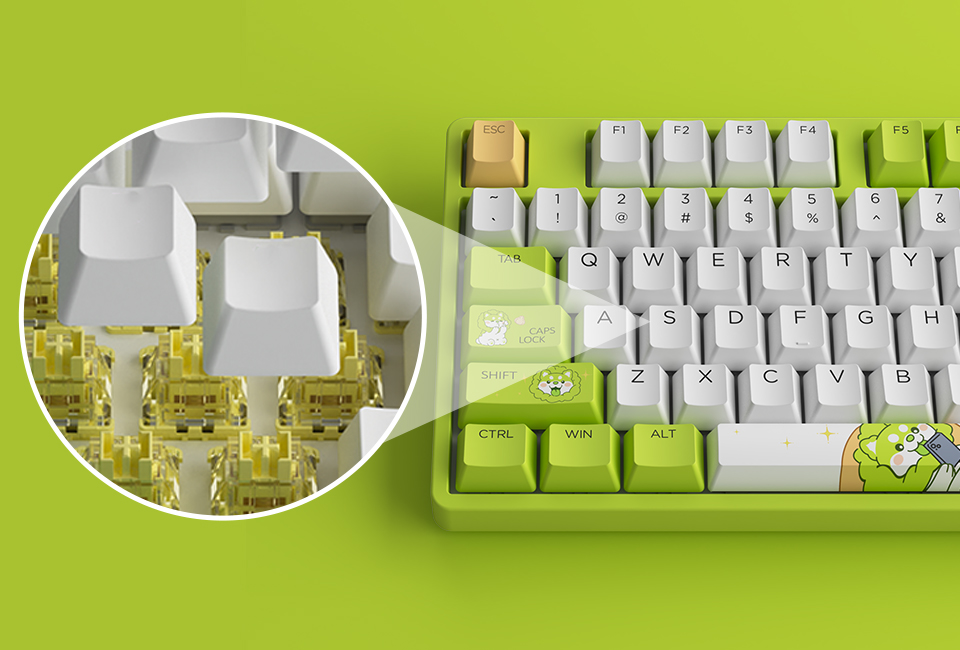 AKKO Cabbage Dog Keyboard-Tapelf