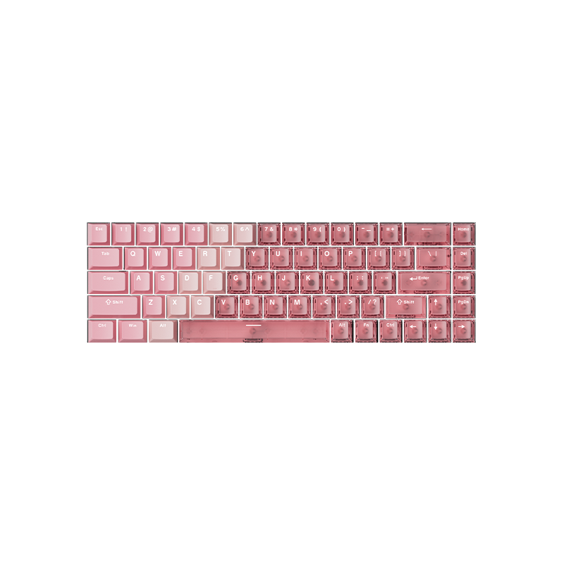 Gradient Hybrid Pink Transparent